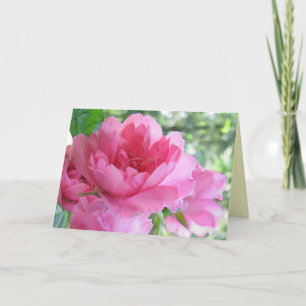 Soft Pink Rose Friendship Card