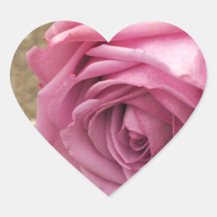 Soft Pink Rose Heart Sticker