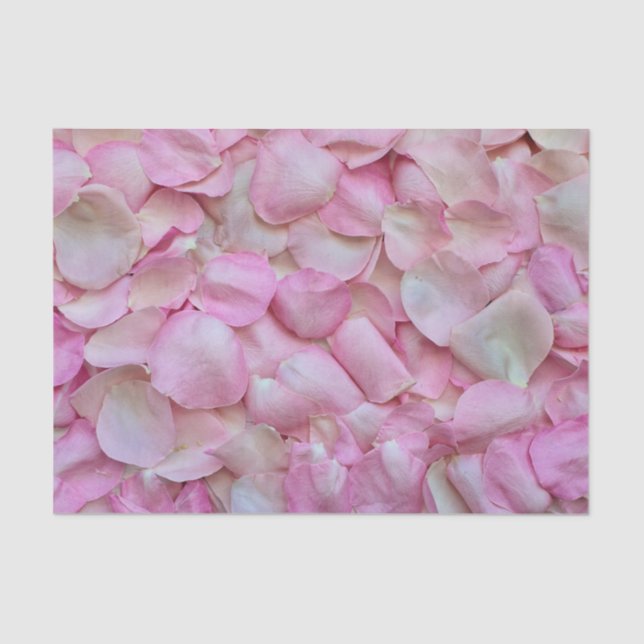 Soft Pink Rose Petals Tissue Paper (Front)