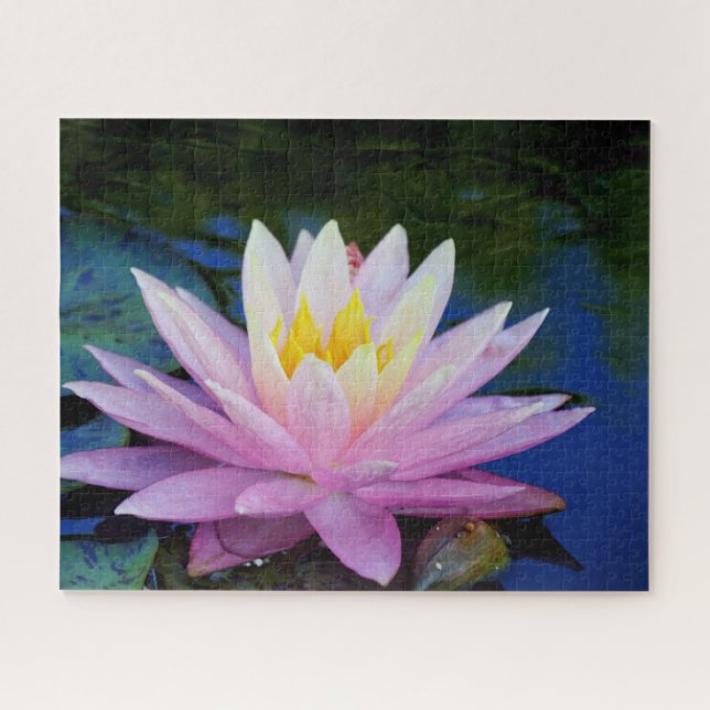 Soft Pink Waterlily Jigsaw Puzzle (Horizontal)
