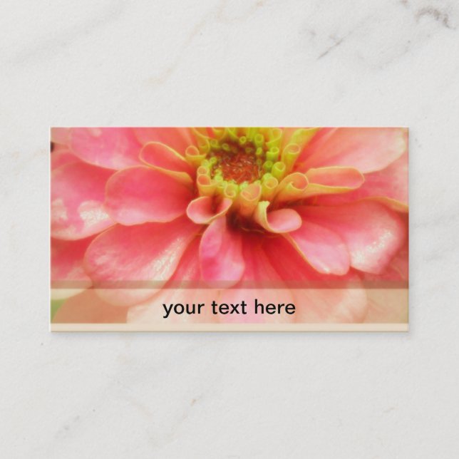 Soft Pink Zinnia Flower Business Card (Front)