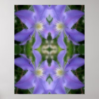 Soft Purple Clematis Flower Petals Abstract