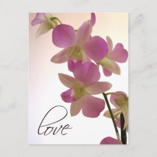 Soft purple orchid postcard