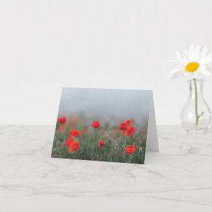 Soft red poppies in misty field, Remembrance  Card