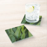 Soft ropical Green Leaves Botanical Glass Coaster<br><div class="desc">Bring a sense of calm nature indoors with this soft tropical leaf photography coaster. Fresh green leaves in soft focus create a peaceful botanical aesthetic. Perfect for plant-inspired interiors,  kitchens,  or nature-themed home decor.

My authentic art photo,  taken in Martinique,  2026.</div>