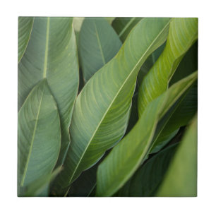 Soft ropical Green Leaves Botanical Tile