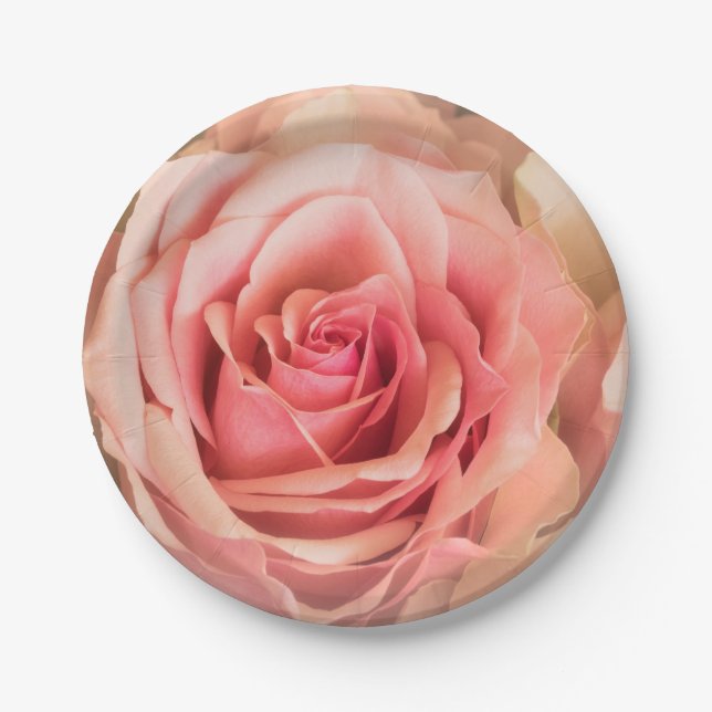 Soft Rose Blush Pink Paper Plate (Front)
