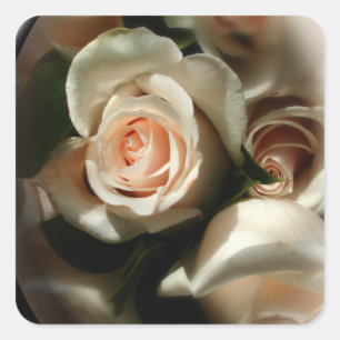 Soft Rose Envelope Sticker