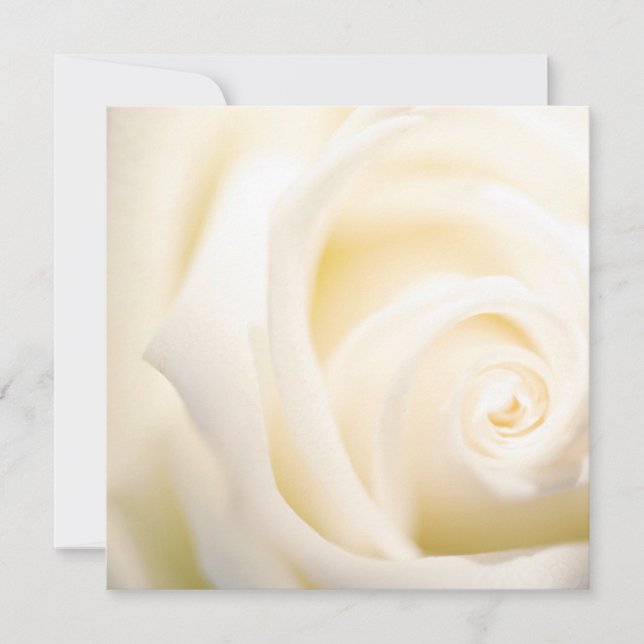 Soft Rose Print Flat Card (Front)