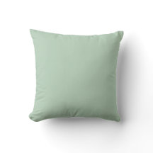 Soft Sage Green Minimalist Home Decor Pillow