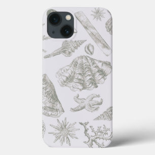 Soft Sage Grey Seashell Sketch Antique Nature iPhone 13 Case