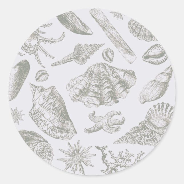 Soft Sage Grey Seashell Sketch Antique Nature Classic Round Sticker (Front)