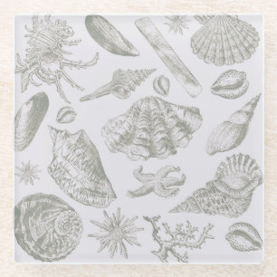 Soft Sage Grey Seashell Sketch Antique Nature Glass Coaster