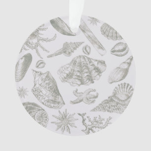 Soft Sage Grey Seashell Sketch Antique Nature Ornament