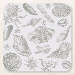 Soft Sage Grey Seashell Sketch Antique Nature Square Paper Coaster