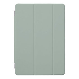 Soft Sage iPad Pro Cover