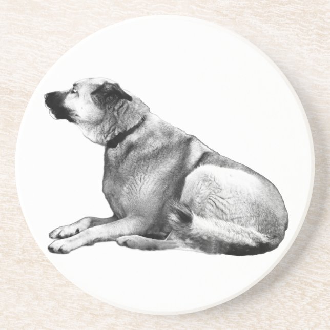 Soft Shadow Watch Coaster (Front)