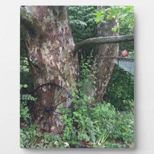 Soft summer rain plaque