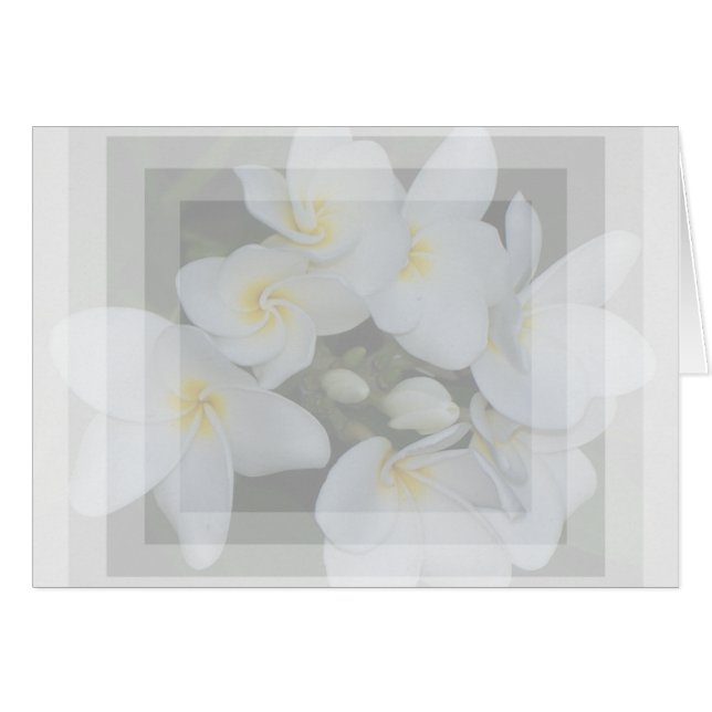 soft&sweet (Front Horizontal)