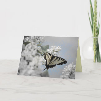 Soft Touch Card