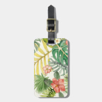 Soft Tropics