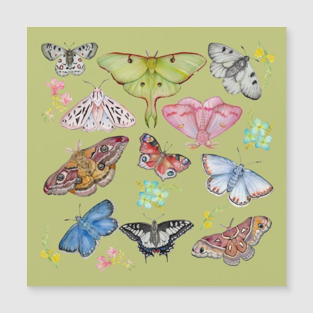 Soft Watercolor Butterfly Dance (Front)