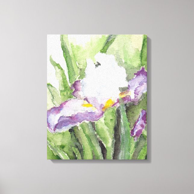 Soft Watercolor Iris Canvas Print (Front)