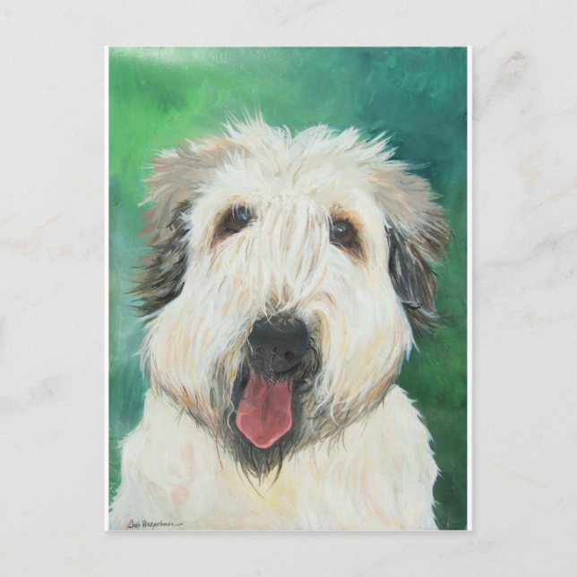 Soft Wheaton Terrier dog images Postcard (Front)