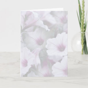 Soft White And Pink Greeting Card