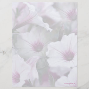 Soft White And Pink Petunias Letterhead