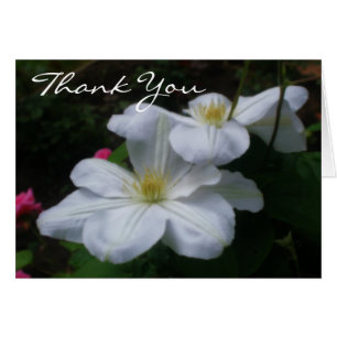Soft White Clematis Floral Thank You Card