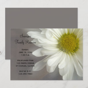 Soft White Daisy Family Reunion Invitation