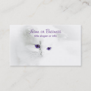 Soft White Kitten with Purple Eyes Business Card