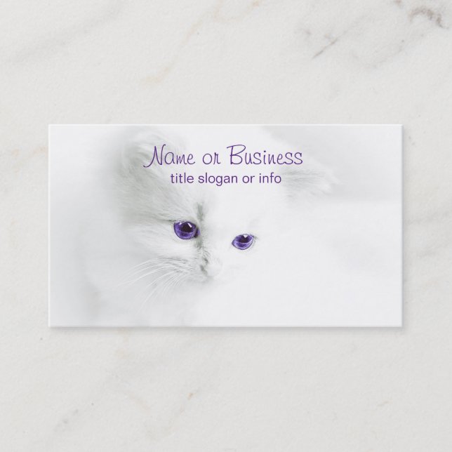 Soft White Kitten with Purple Eyes Business Card (Front)
