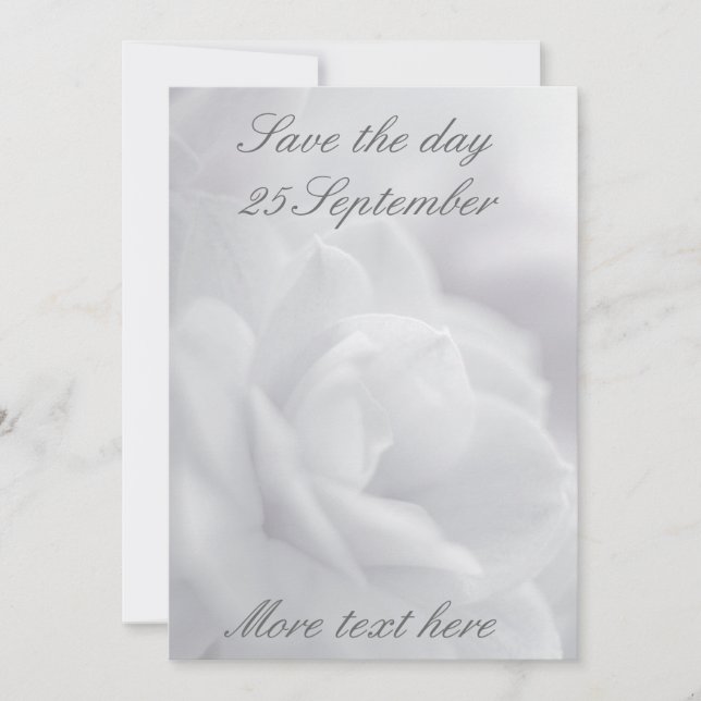 Soft white petals ... invitation (Front)