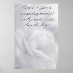 Soft white petals ... poster