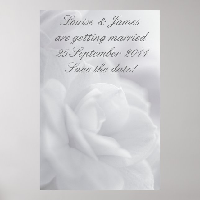 Soft white petals ... poster (Front)