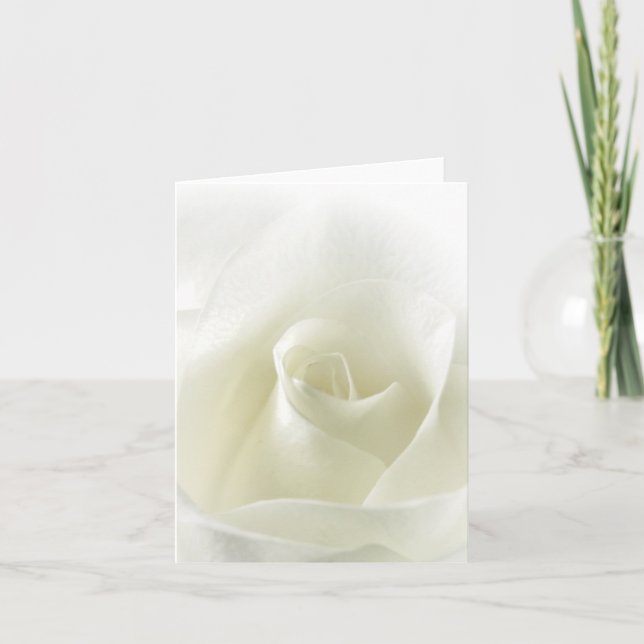 Soft White Rose Note Card (Front)