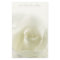 Soft White Rose  Stationery