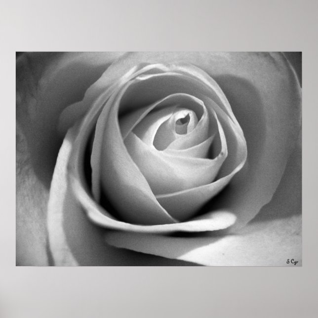 Soft White, S Cyr Poster (Front)