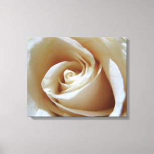 Soft White Wedding Rose Canvas Print