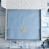 Soft Winter Blue Solid