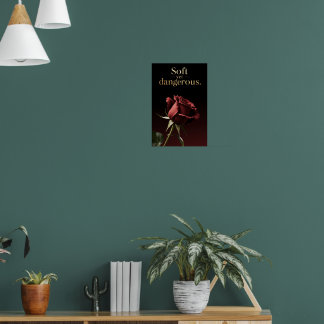 "Soft yet Dangerous" Minimalist Wall Art