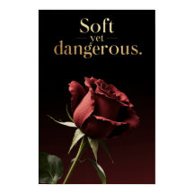 "Soft yet Dangerous" Minimalist Wall Art