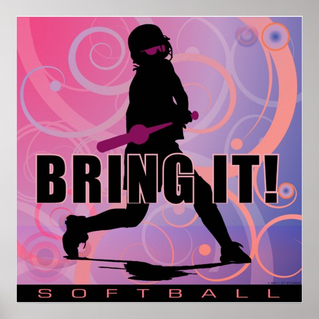 softball101 poster (Front)