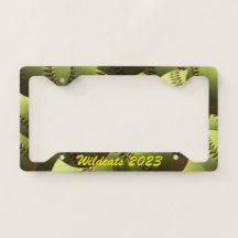 Softballs with Team Name and Year