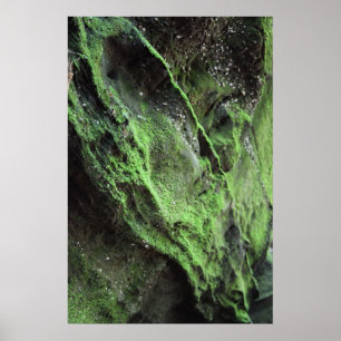 Soften the Moment Poster