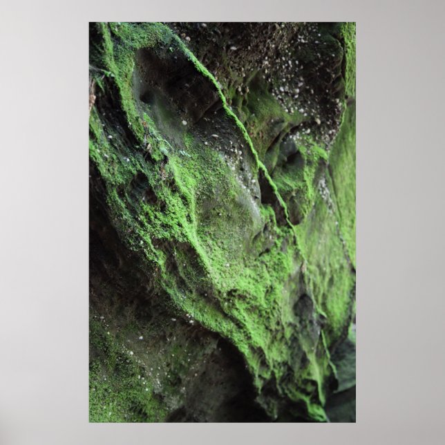 Soften the Moment Poster (Front)