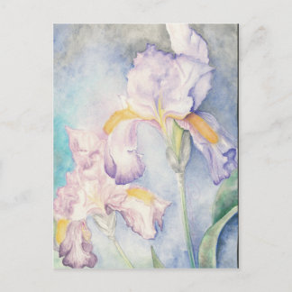 Softest Irises Floral Watercolour Postcard