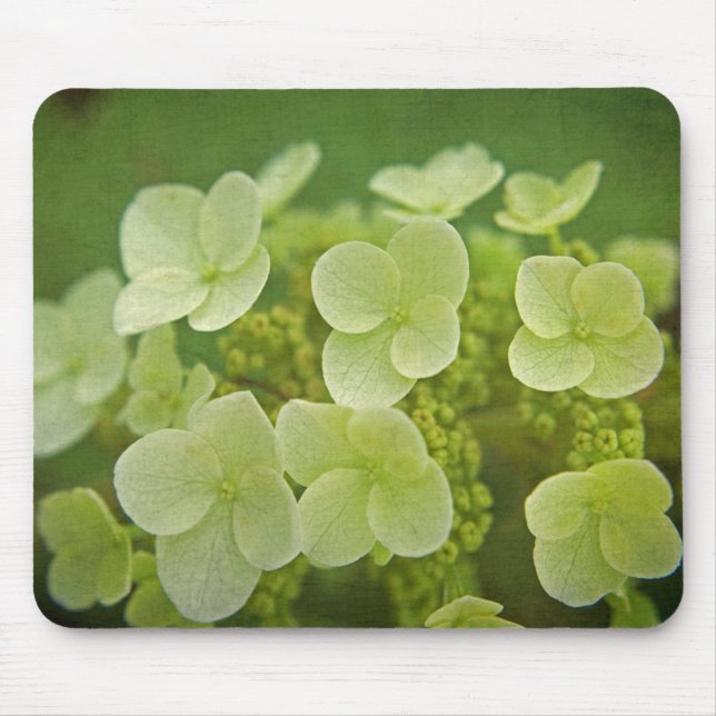 Softly Hydrangeas Mouse Pad (Front)